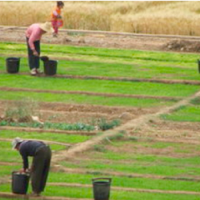 »symbolizing existence«